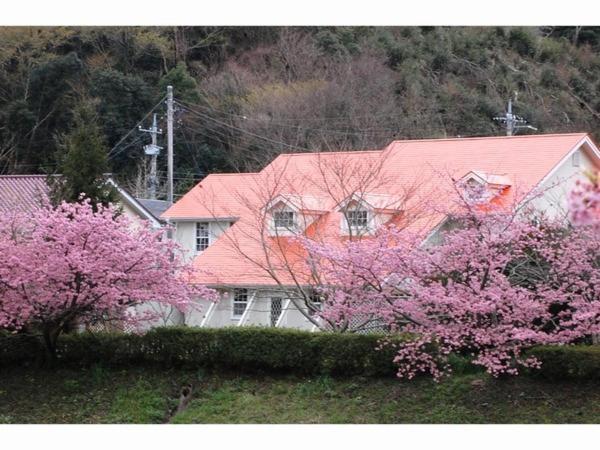 Pension Hidamari Minamiizu Exterior foto